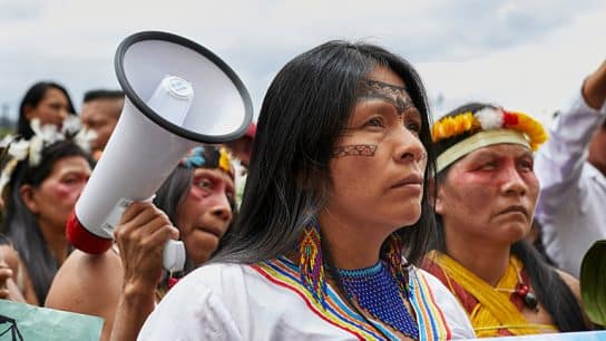 92% of Environmental Defenders Experience Online Abuse or Harassment, Survey Reveals