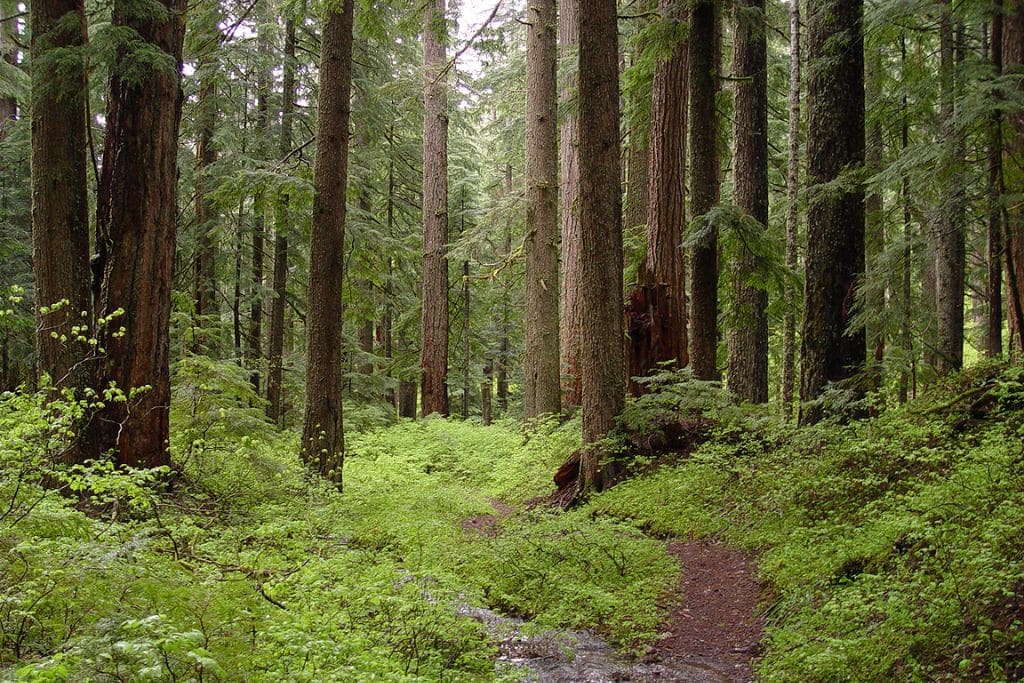 Local Land Conservation Provides Glimmer of Hope in the New Trump Era