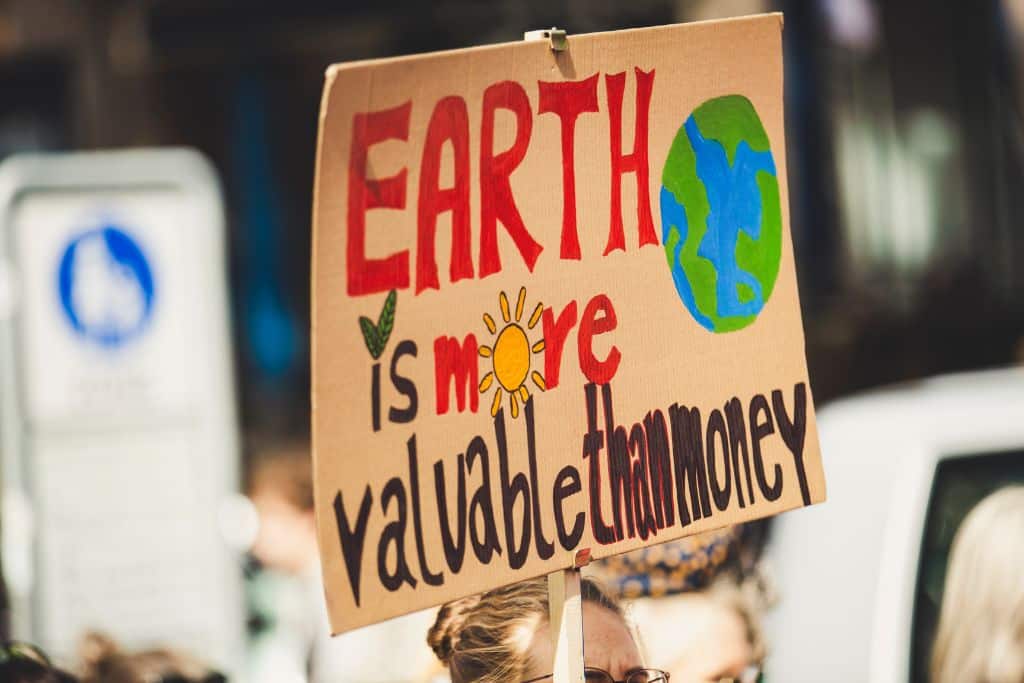 Youth Climate Action; young protester; climate protest; climate strike; earth is more valuable than money