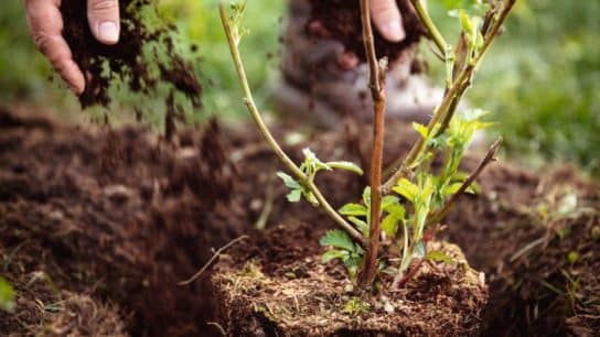Community-Based Living Is the Future of Conservation