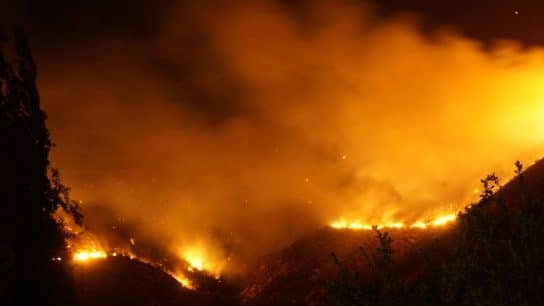 South Korea’s Deadliest Wildfires Twice As Likely Because of Climate Change: Study
