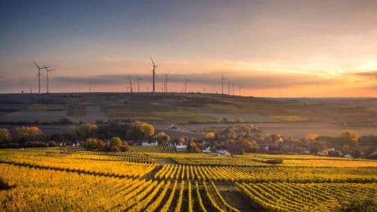 Climate-Smart Agriculture: Adapting Farming Practices to a Changing Climate