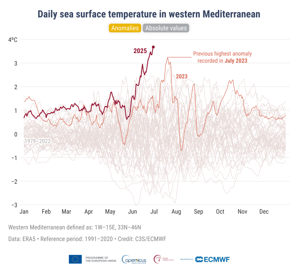 Daily sea surface temperature anomalies (°C) averaged over the western Mediterranean basin from 1979 to 30 June 2025.